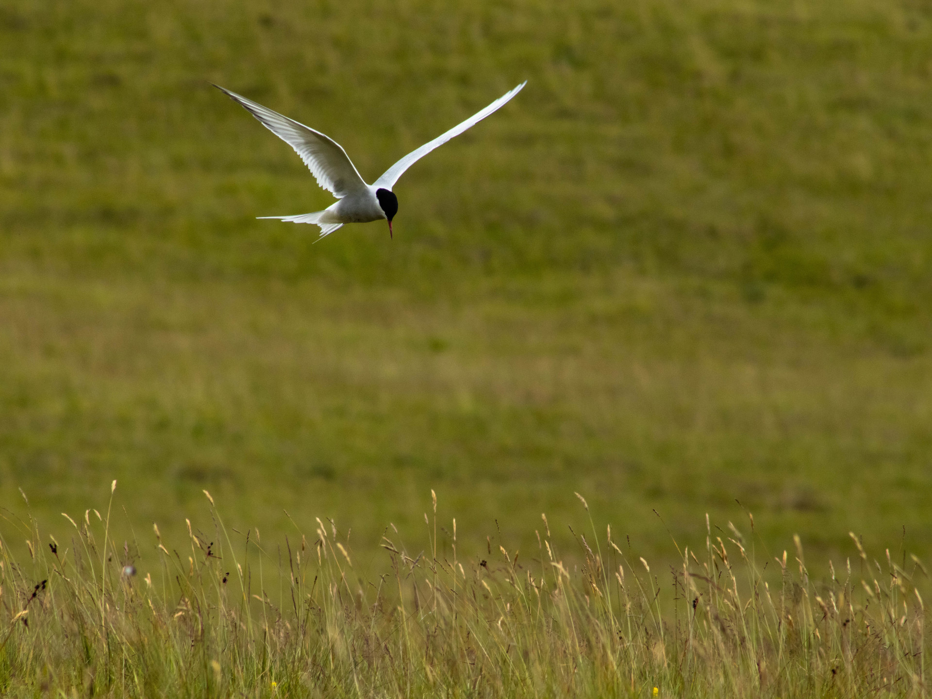 Voyage au coeur de l’Islande : 

type: photo

0: /